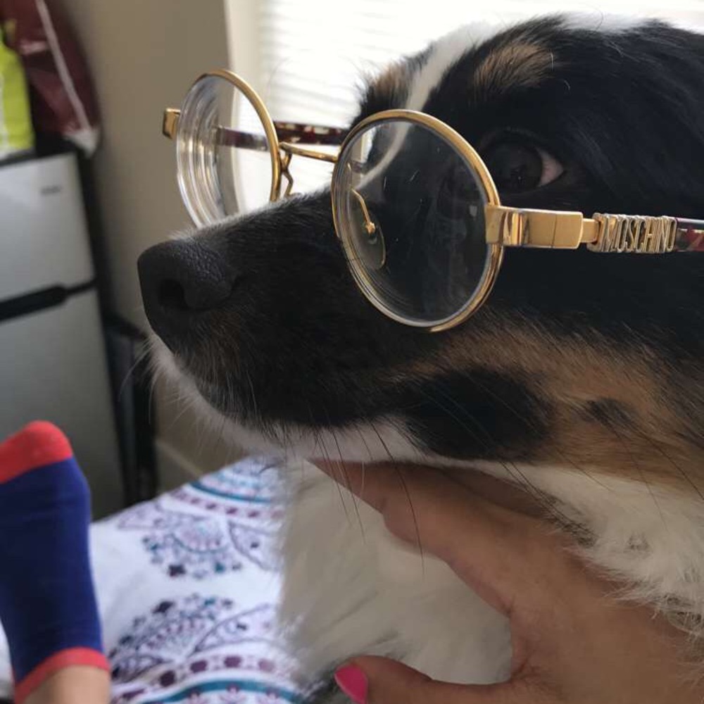 Meet your Posher, Minnie